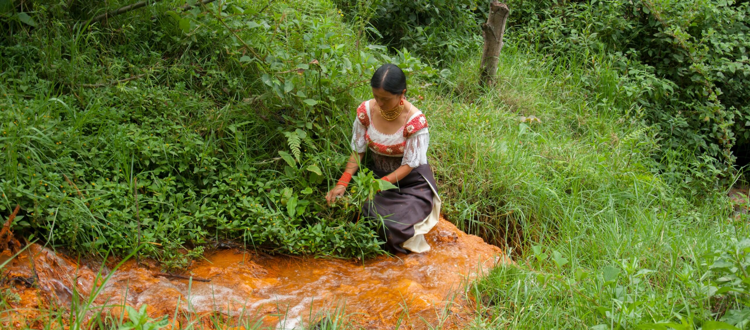 Woman from South America collecting medicinal plants in the jungle for a sacred community ceremony.