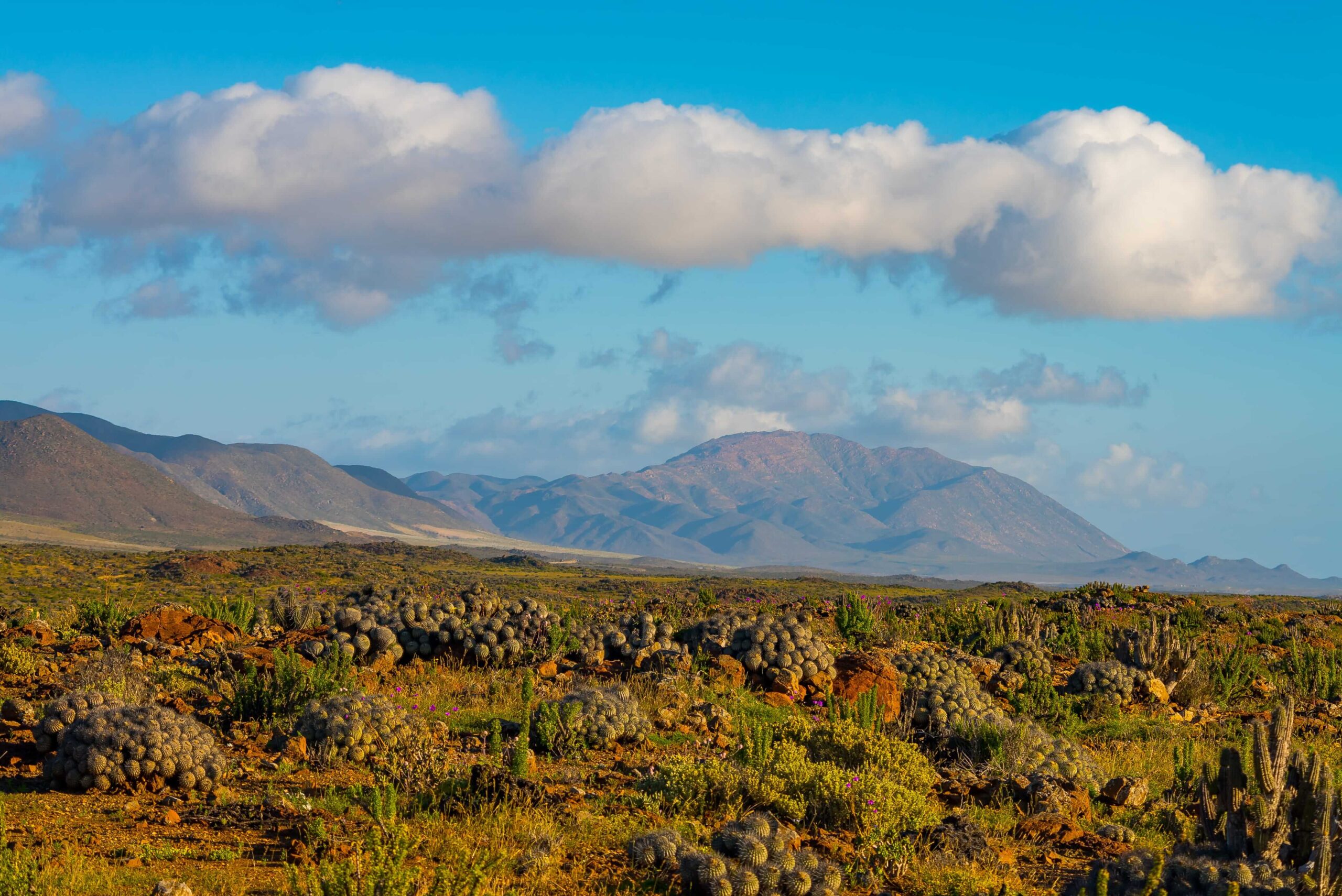 Mapping Epistemological Scales