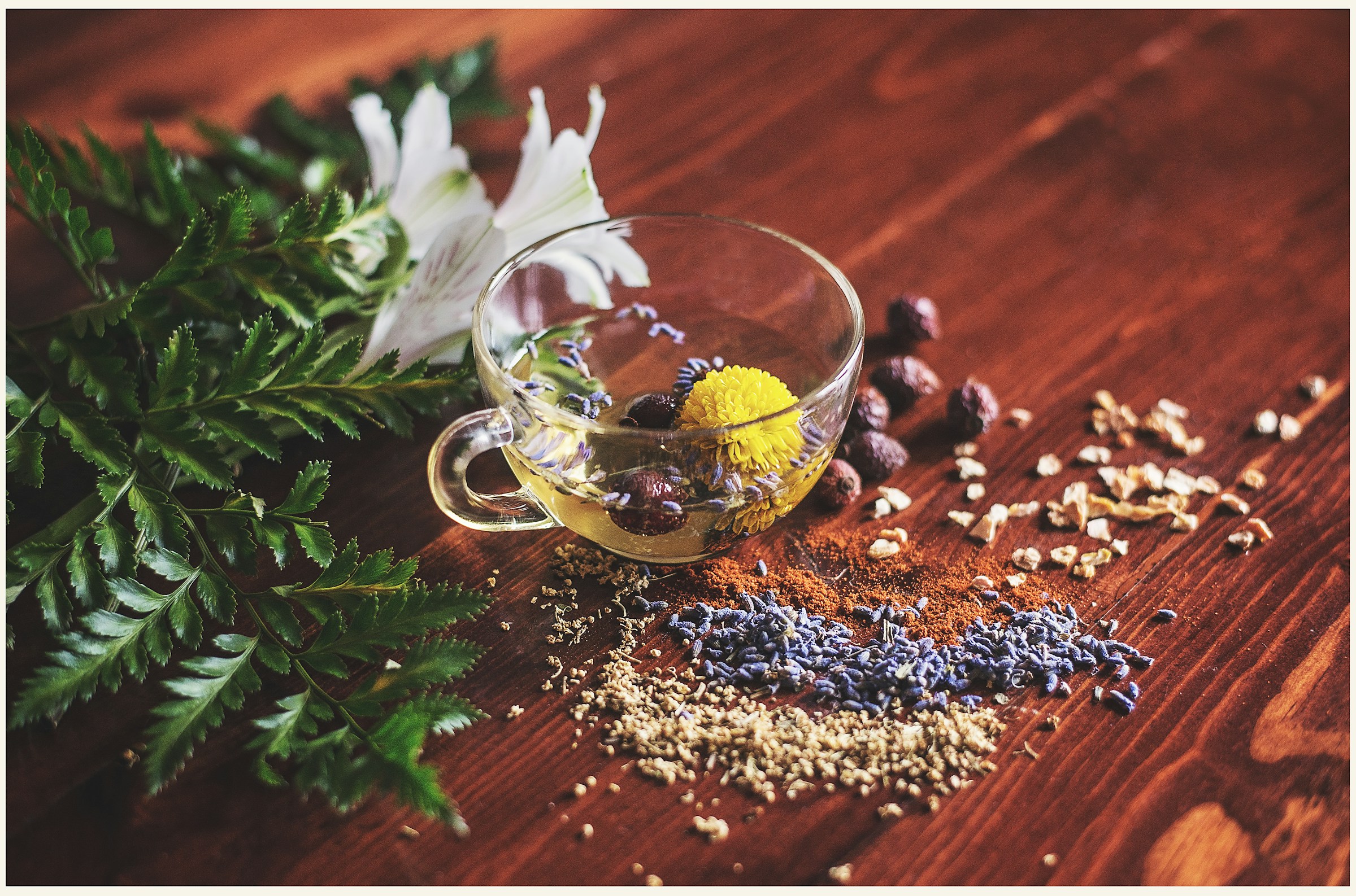 A tea cup containing various plants brewing tea.