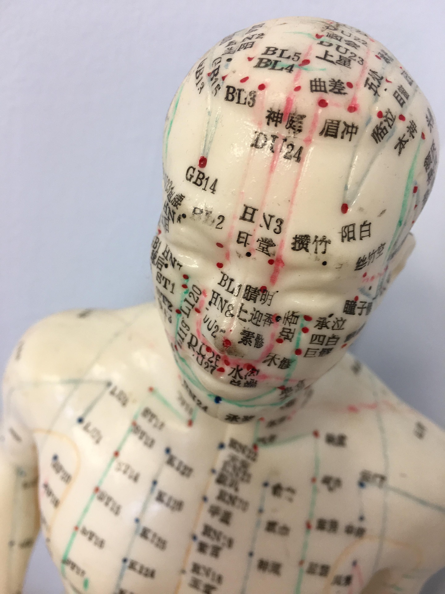 Mannequin with Traditional Chinese Medicine acupuncture points.