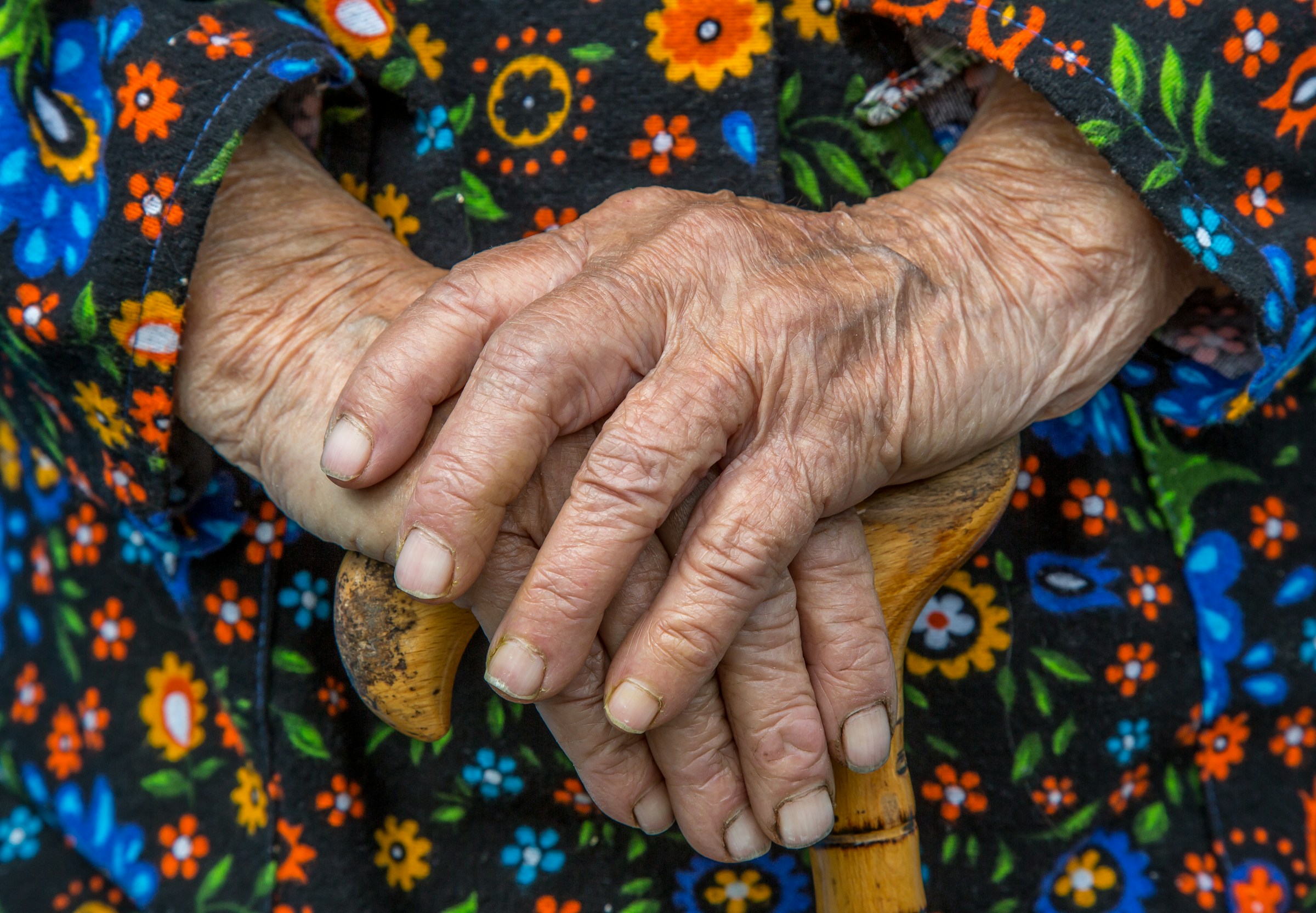 Person holding brown wooden stick.